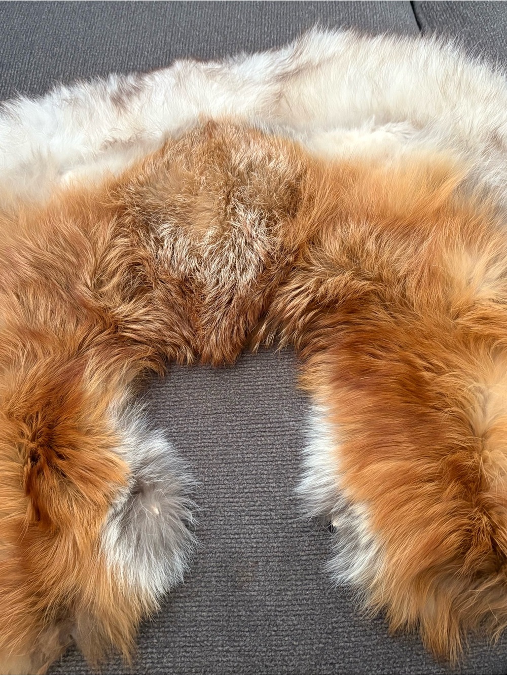 2 Vintage Fur Collars